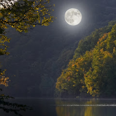 月光ニュースの画像