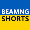What could BeamngShorts buy with $19.71 million?