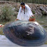 x_ikivPojso-channel-avatar-Laozhang Pearl