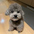 @woodyoon
