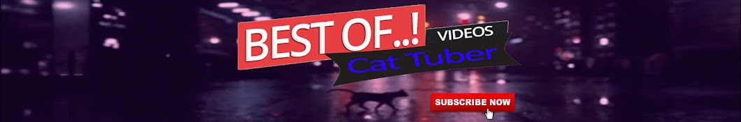 Cat Tuber यूट्यूब चैनल अवतार