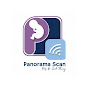 Panorama Scan logo