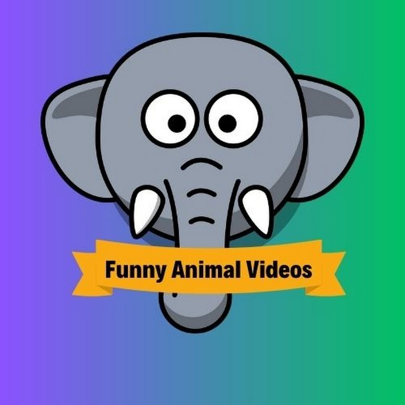Funny-Animal-Videos