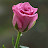 @ShantanuMiddya