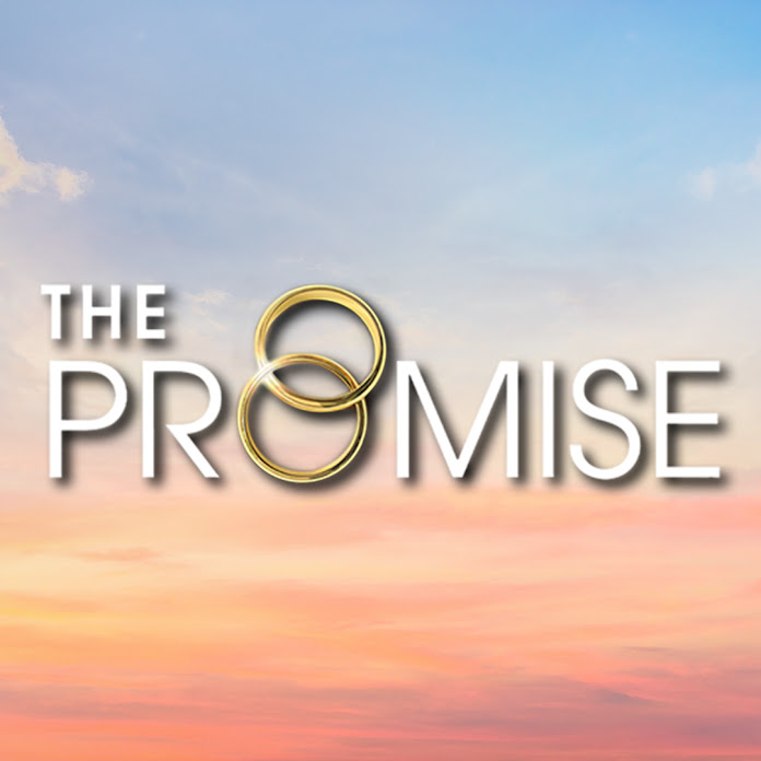 The Promise Official Net Worth & Earnings (2024)