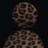 Rq6Pik5eKvY-channel-avatar-nailz by dom