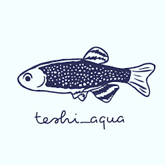 Tessy / teshi_aqua