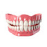 _Pdp5fVHhqA-channel-avatar-Awal Denture