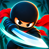 Stealth Ninja 2 icon