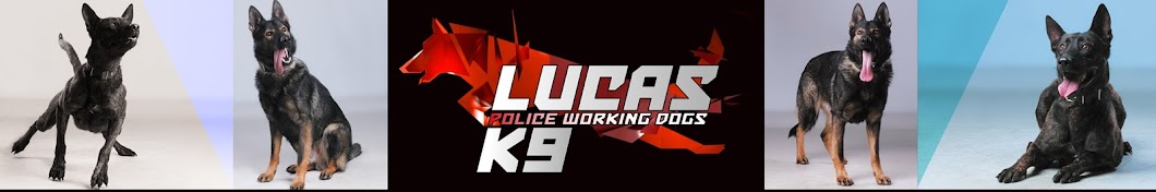 lucask9com YouTube 频道头像