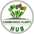 QiTfPS2450I-channel-avatar-Carnivorous Plants Hub