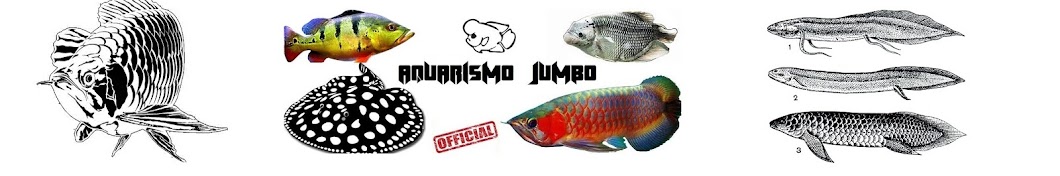 AQUARISMO JUMBO YouTube channel avatar