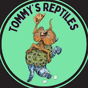 Tommy’s Reptiles