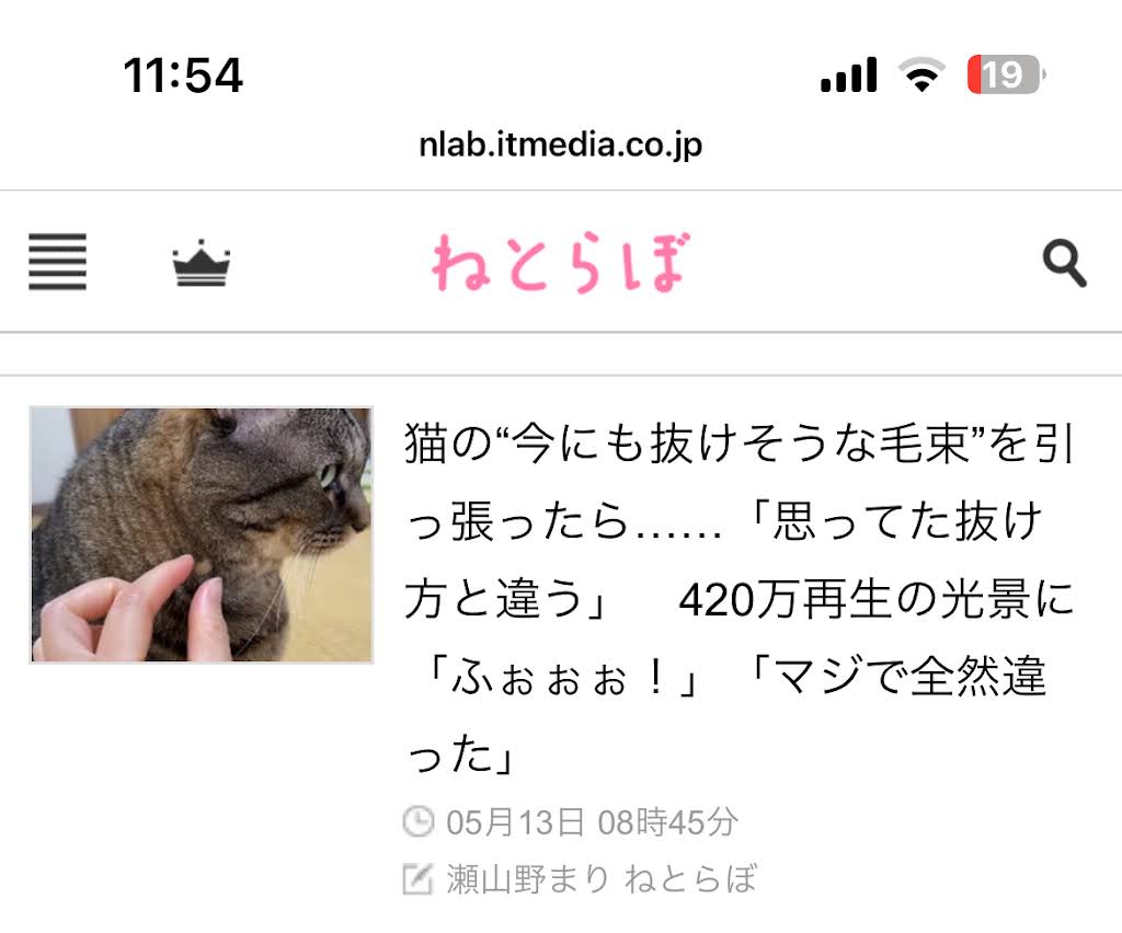 Nekojima Mametaro - YouTube