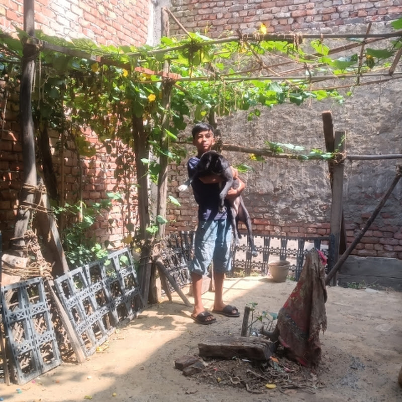 Harshit Garden Life 