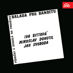 Miroslav Donutil - Topic