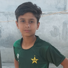 cricket 16