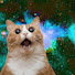 -sgUbxE4K9U-channel-avatar-Granece Zaufaria