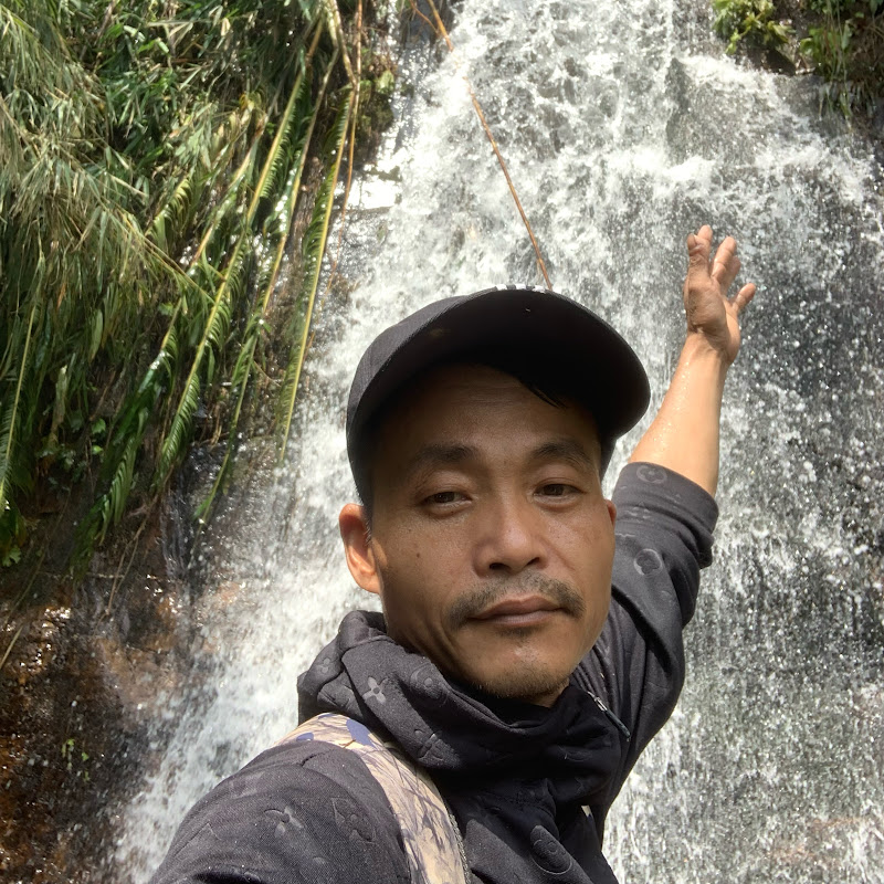 Nam dược vung cao