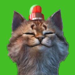 猫元パト / Patoneko Ch.