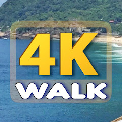 4K WALK Avatar