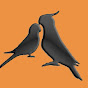 Band of Parrots Image Thumbnail