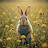 @the-yellowrabbit