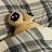 @Un_Pou_Trsite