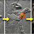 546mP8WP-VA-channel-avatar-Histoire Mal Comprise