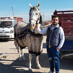 Ali Hadi_علي الهادي 