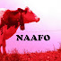 -HBnLAK4_Cc-channel-avatar-Naafo Music