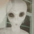 8v-Q1nNa8Ts-channel-avatar-The Grayyman