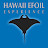 Hawaii Efoil Experience