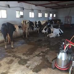 قنات فاطمة بيكوب 