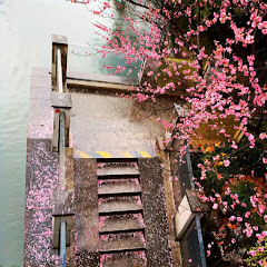 Celestial Navigator343