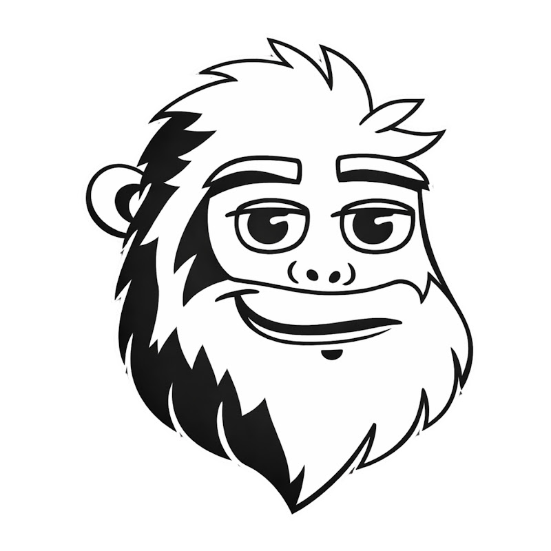 Yeti Fi 
