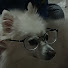 z-TxeEOflVM-channel-avatar-세세로로로