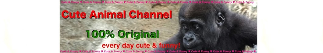 Cute Animal Channel رمز قناة اليوتيوب