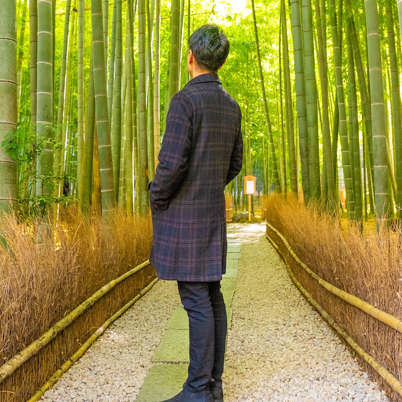 Daisuke's Travels Japan channel avatar