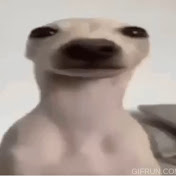 AUGHHH