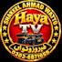 Yx4SH2evBIU-channel-avatar-Haya Tv