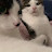 @tee123nshu