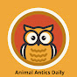 Animal Antics Daily logo
