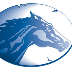 Irish Thoroughbred Breeders' Association (ITBA)