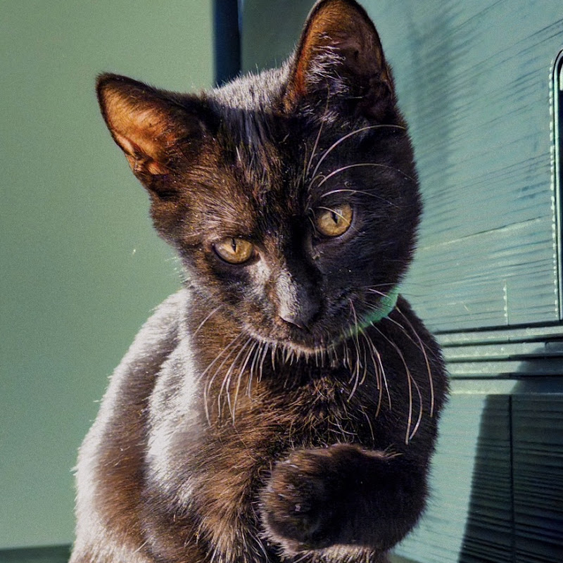 Milo