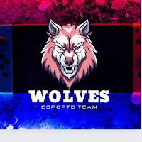 Profile Picture of Wolwes gaiming 