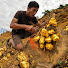 nvOIsCK_O-k-channel-avatar-Gold Crystal