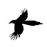 l3mLBrjWS1I-channel-avatar-Flying Magpie