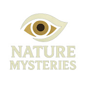 Nature Mysteries