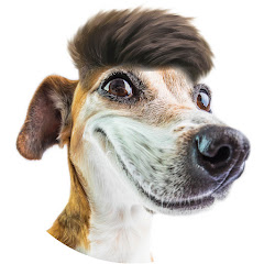 Channel thumbnail for Medicine Laugh